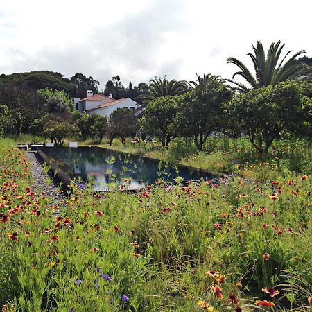 Quinta Do Miguel Villa Aldeia do Meco Exterior photo